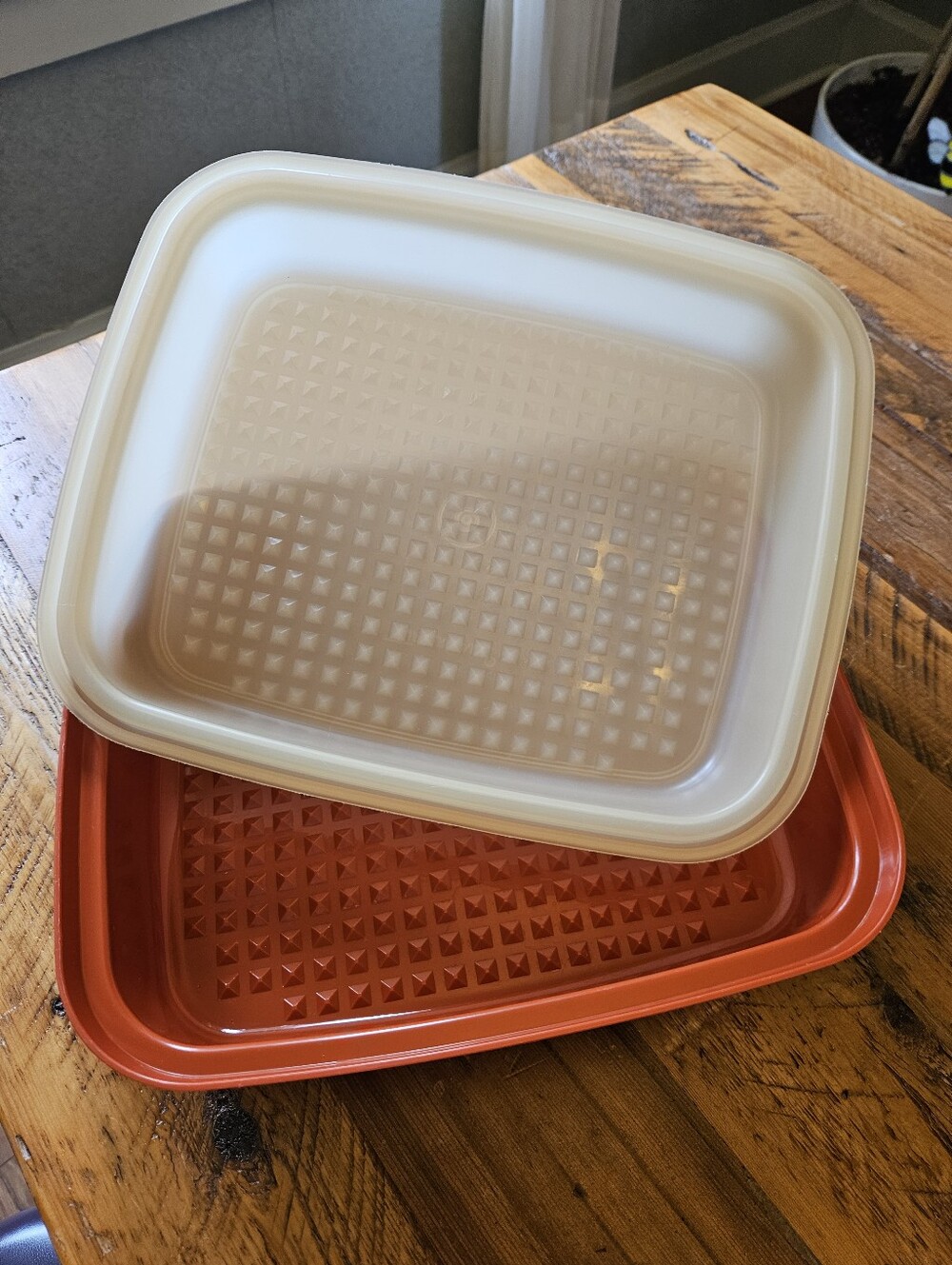 Vintage Tupperware Marinating Container - Picture 6 of 6